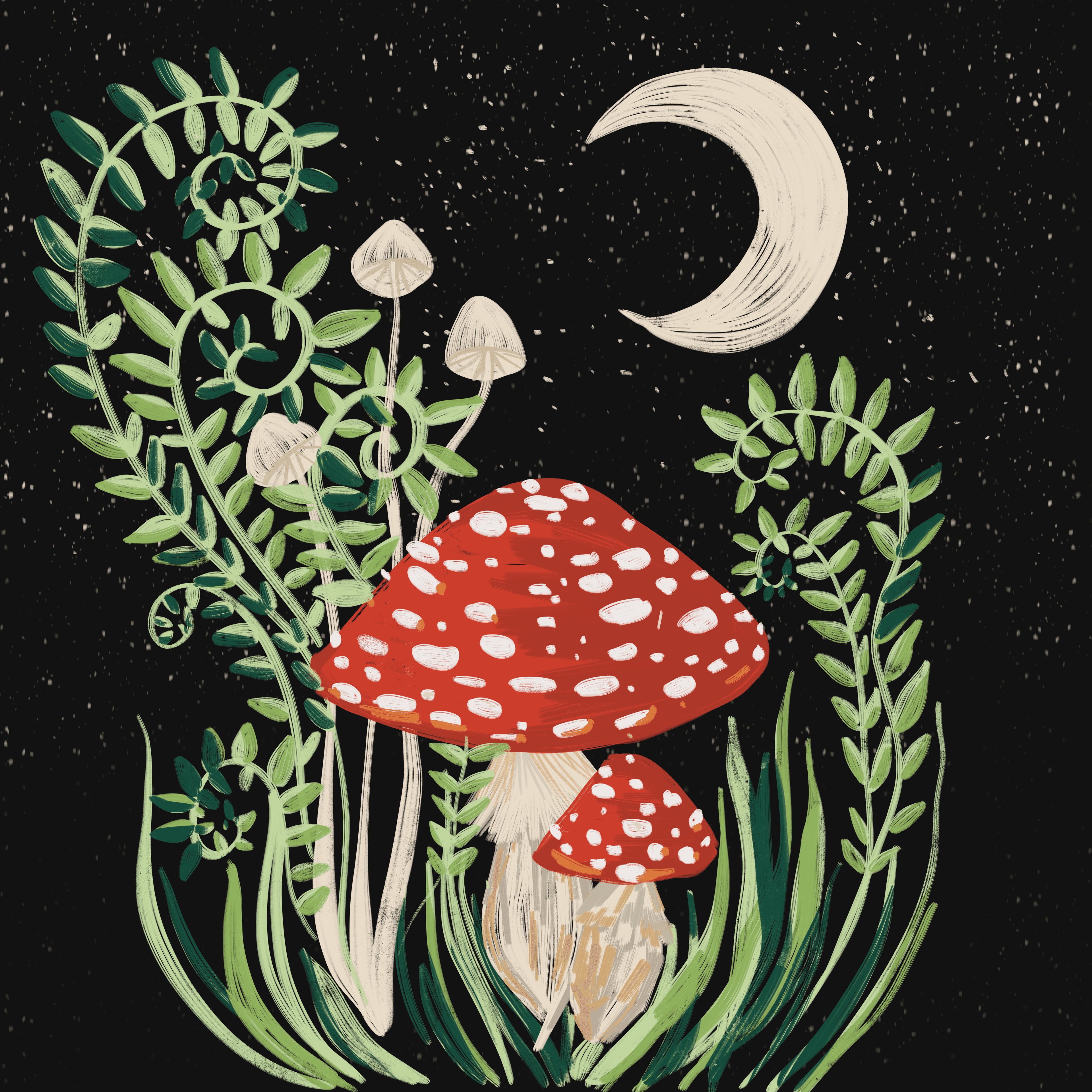 starry night