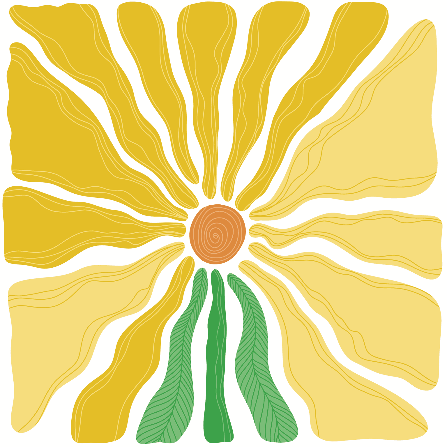 sunflower